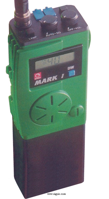 A picture of Danita Mark 1