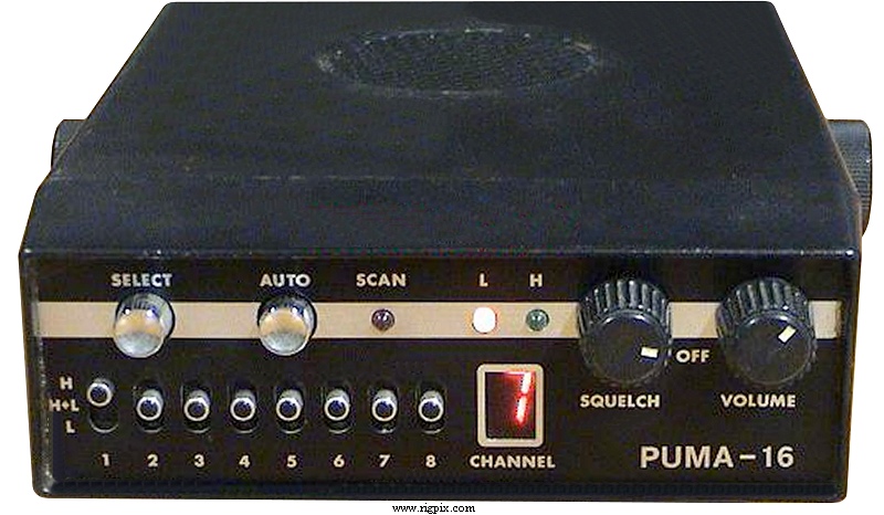 A picture of Puma 16