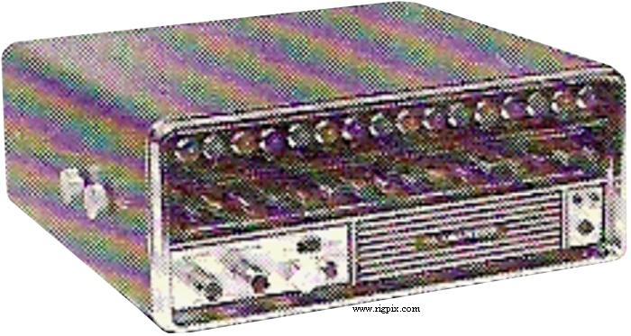 A picture of Puma 2000