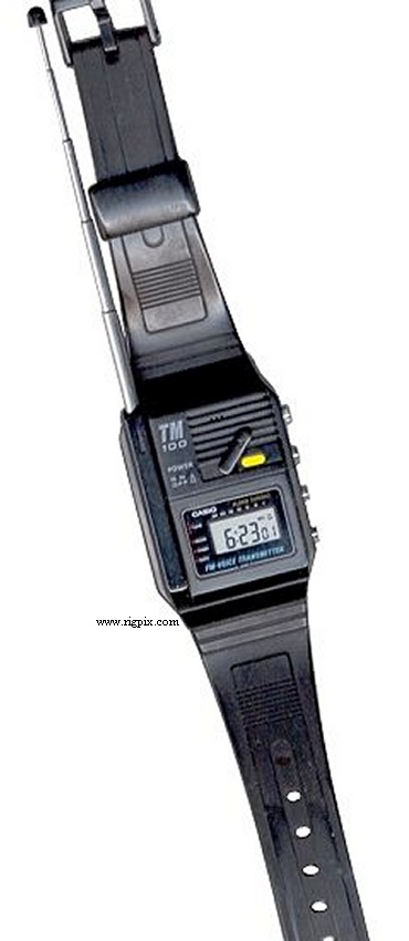 A picture of Casio TM100